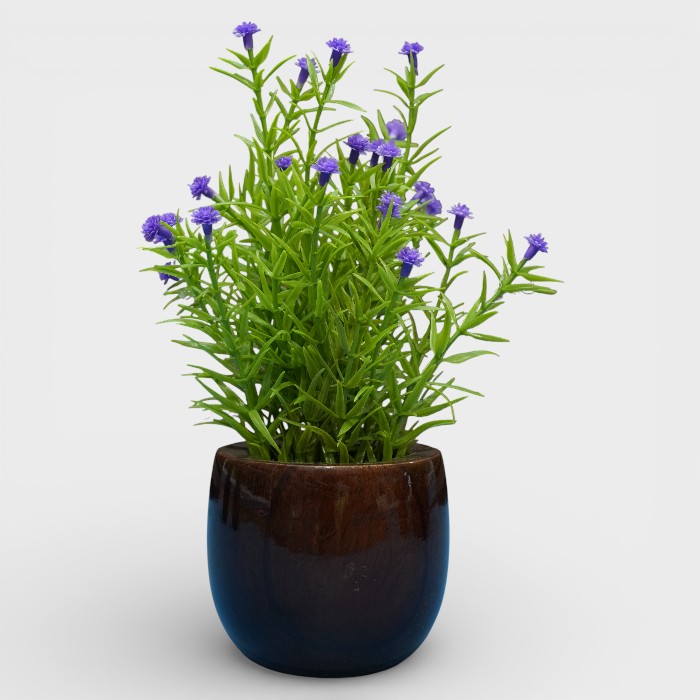 Artificial Mini Firecracker Plant in Polished Dark Wood Ceramic Pot