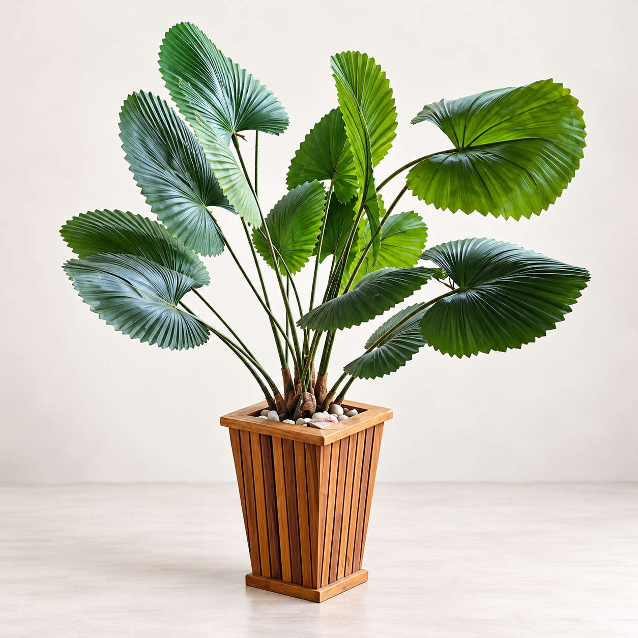 Artificial Fan Palm Plant in Wooden Planter
