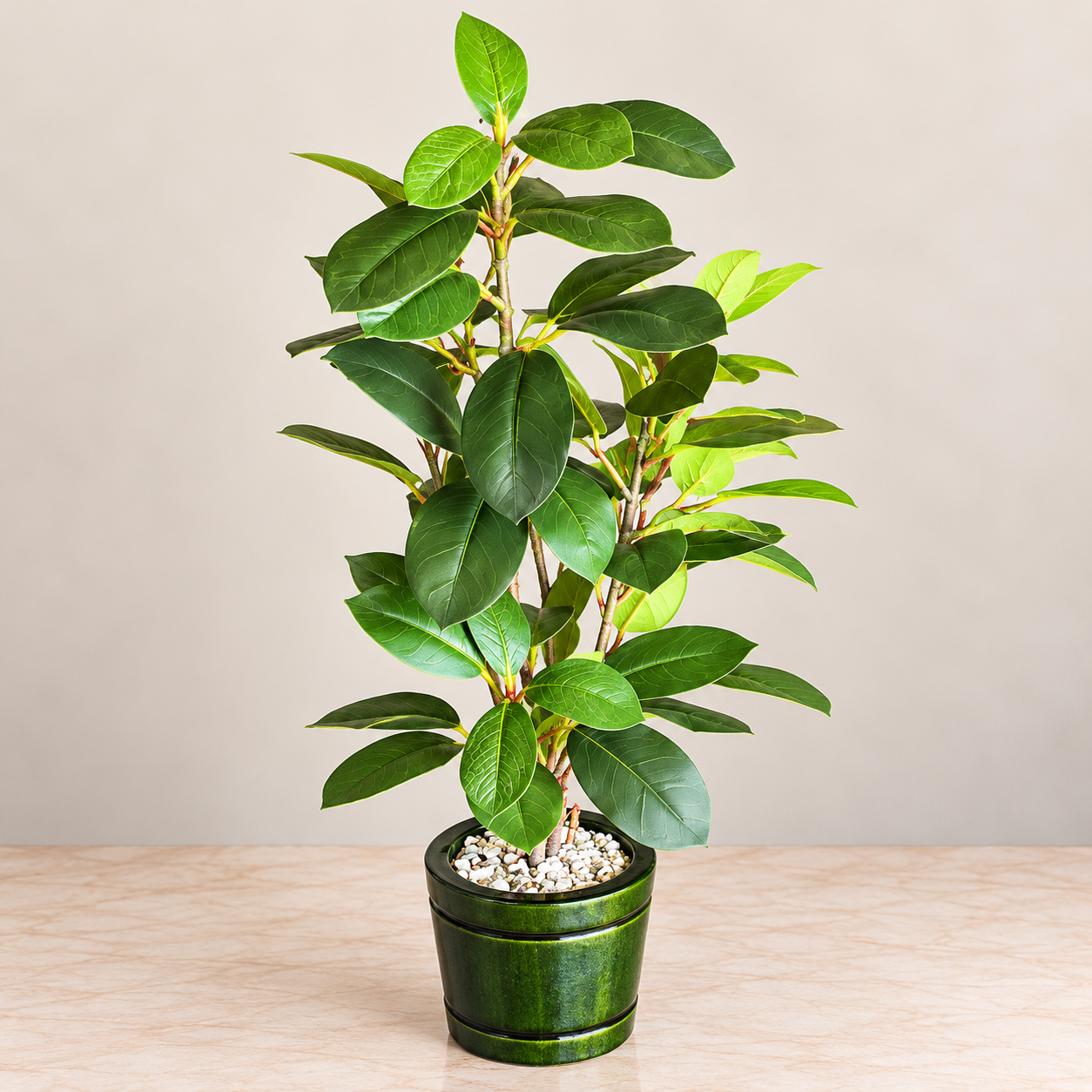 Artificial Green Ficus Plant in Decorative Green Pot