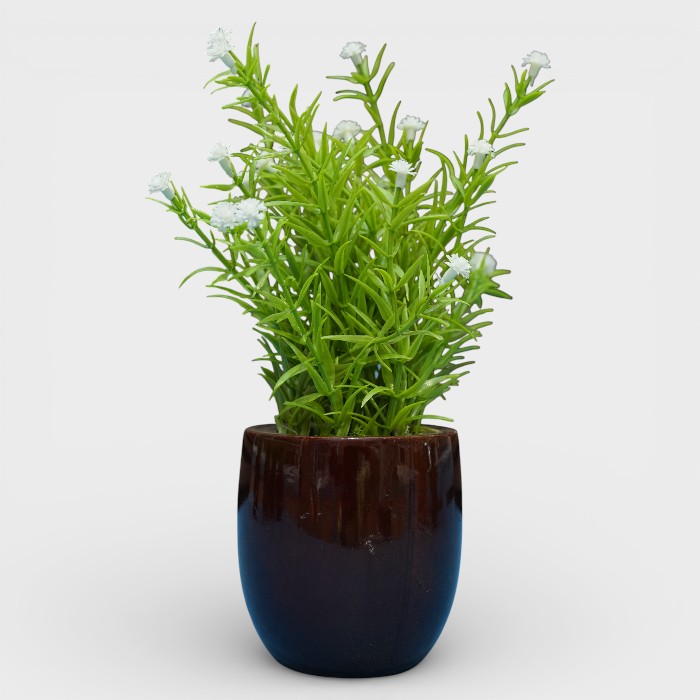 Artificial Mini Firecracker Plant in Polished Dark Wood Ceramic Pot